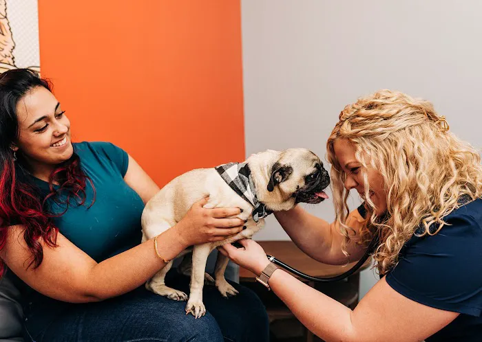 PetVet365 Pet Hospital Louisville / Jeffersontown Picture 8