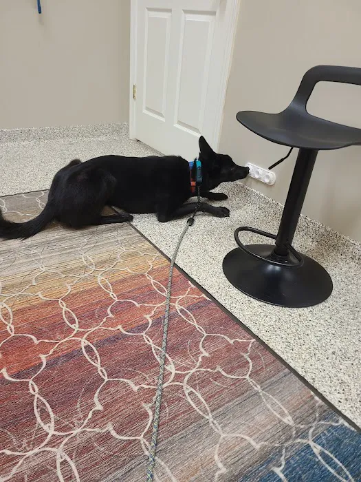 PetVet365 Pet Hospital Louisville / Jeffersontown Picture 5