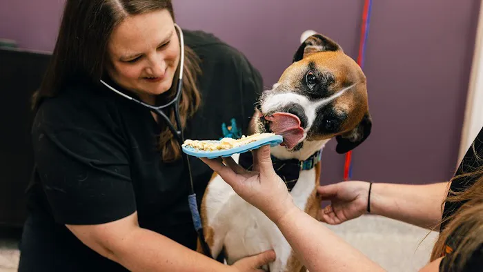 PetVet365 Pet Hospital Louisville / Jeffersontown Picture 4