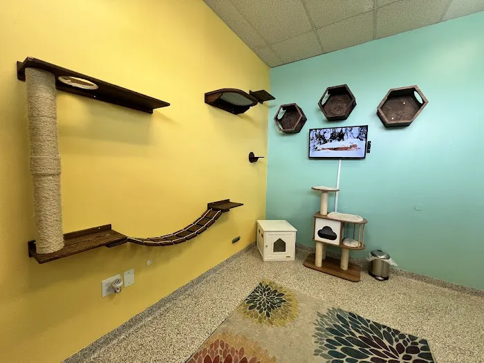 PetVet365 Pet Hospital Louisville / Jeffersontown Picture 3