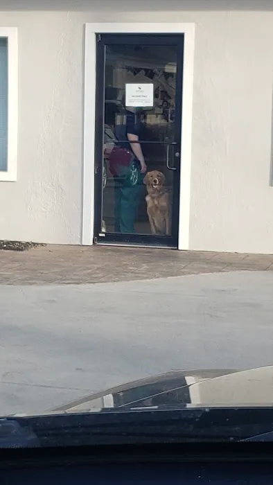 Crescent Hill Animal Hospital Picture 5