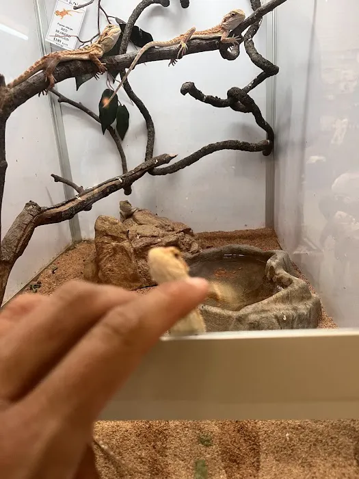Pet's Palace Picture 5