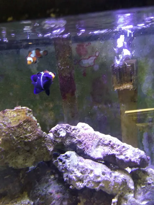 Pet's Palace Picture 4