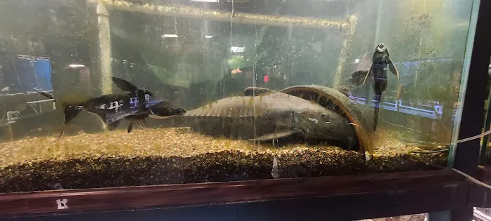Pet's Palace Picture 1