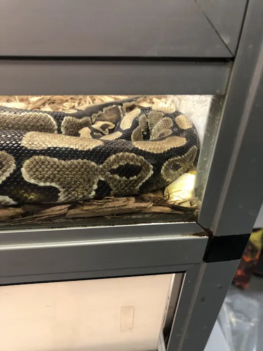 Pet's Palace Picture 8