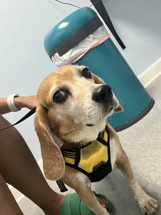 Country Animal Hospital Picture 2