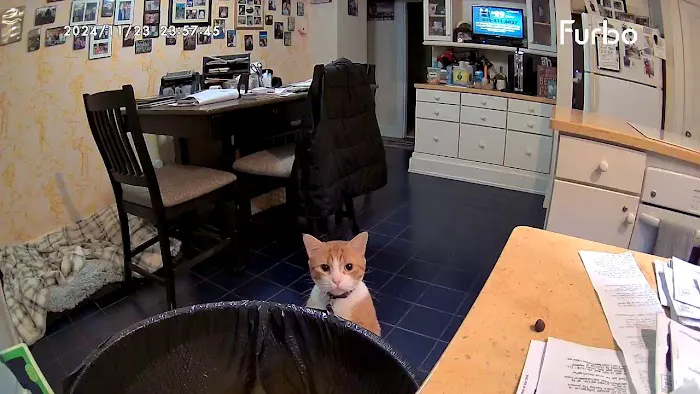 Country Animal Hospital Picture 8