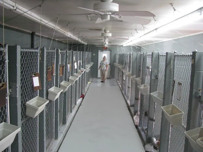 Country Animal Hospital Picture 3