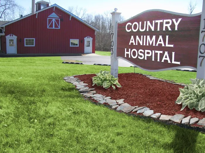 Country Animal Hospital Picture 5