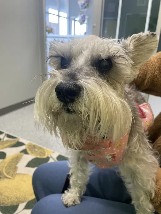PetVet365 Pet Hospital Louisville/Blankenbaker Picture 2