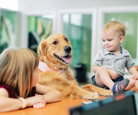 PetVet365 Pet Hospital Louisville/Blankenbaker