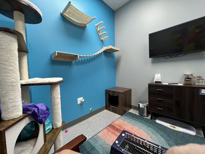 PetVet365 Pet Hospital Louisville/Blankenbaker Picture 10