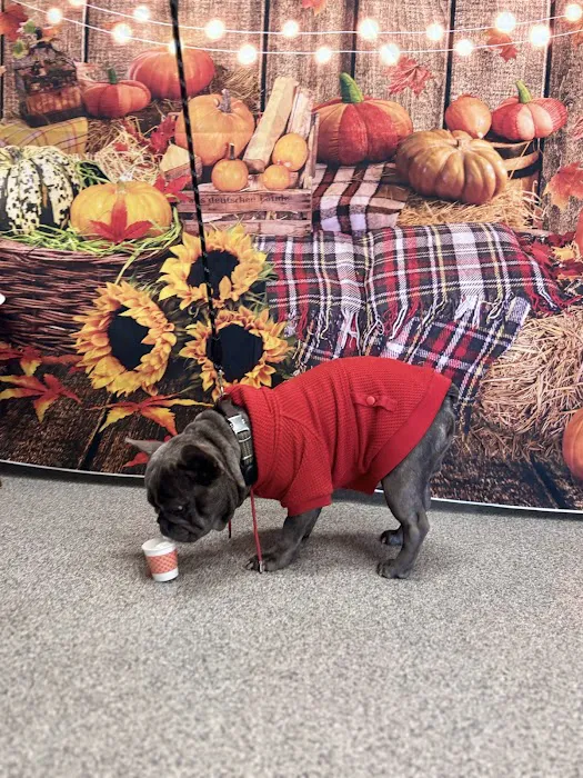 PetVet365 Pet Hospital Louisville/Blankenbaker Picture 9