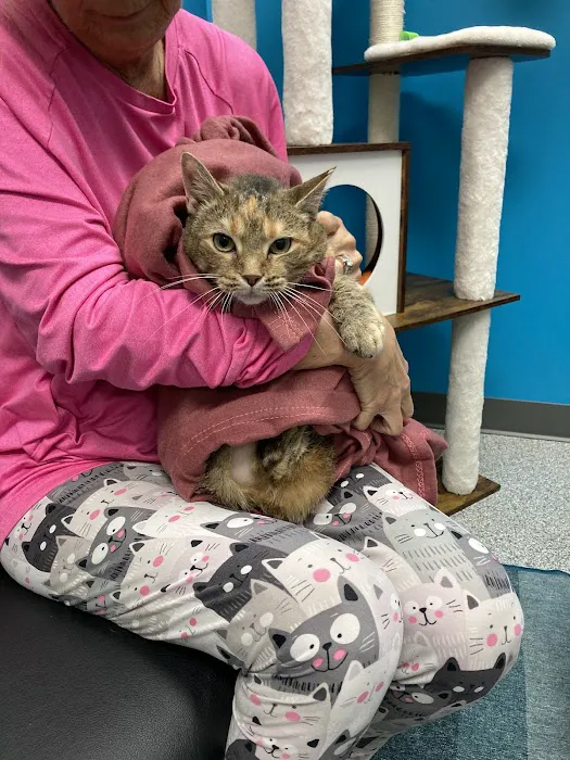 PetVet365 Pet Hospital Louisville/Blankenbaker Picture 7
