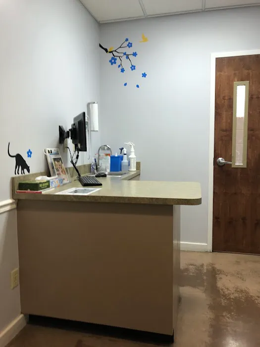 VCA Fairleigh Animal Hospital Picture 6