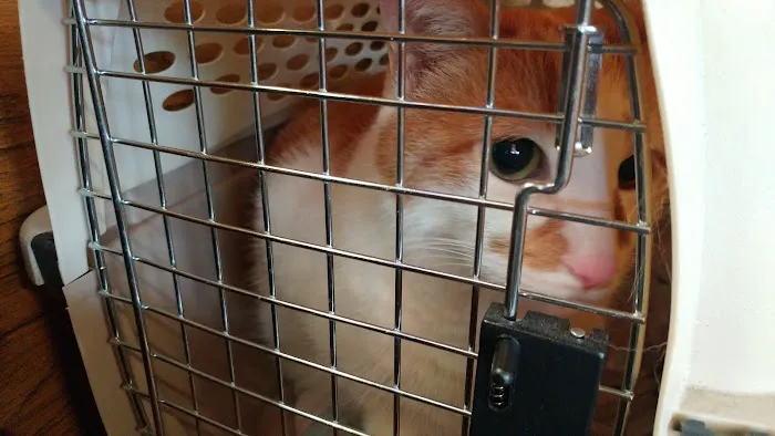 Cherokee Animal Clinic Picture 10