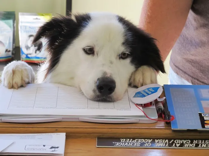 Cherokee Animal Clinic Picture 6