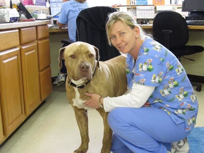 Cherokee Animal Clinic Picture 2