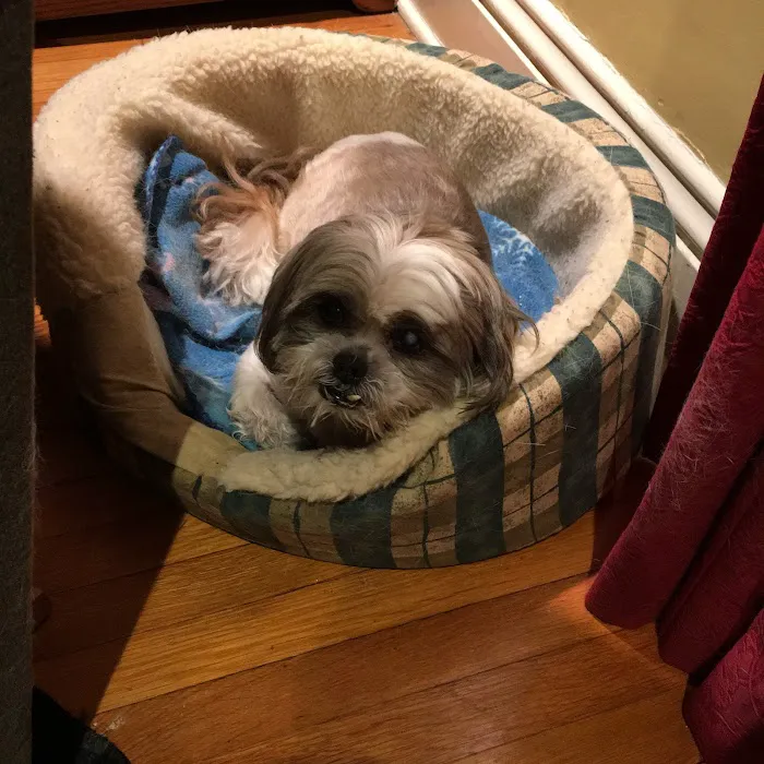 Heart's Ease Veterinary Care Picture 10