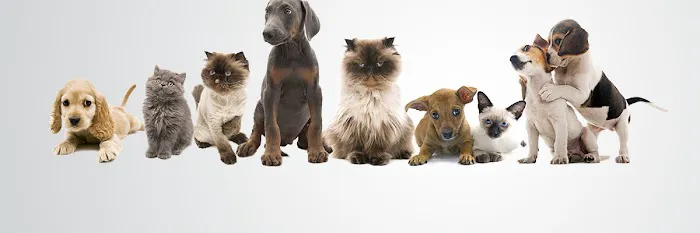 Blue Cross Animal Hospital Picture 6