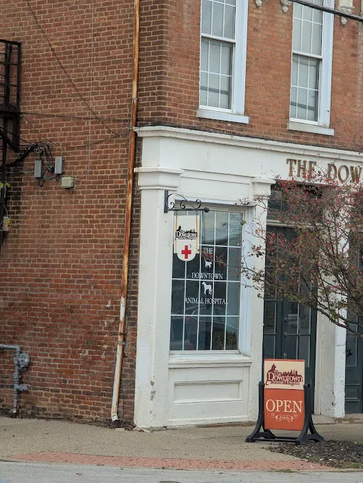 The Downtown Animal Hospital Picture 4