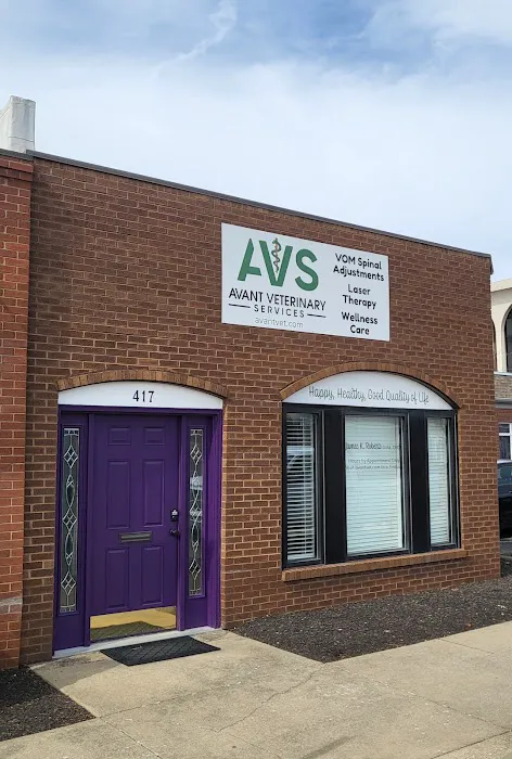 Avant Veterinary Services Picture 3
