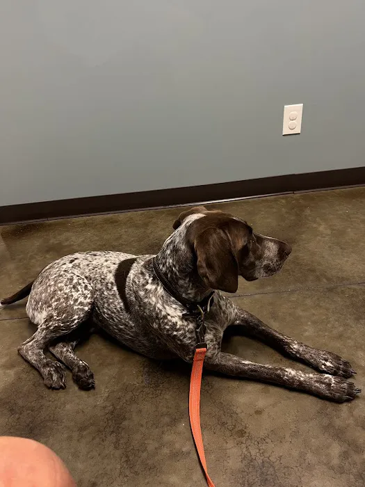 Latimer Animal Hospital, LLC Picture 1