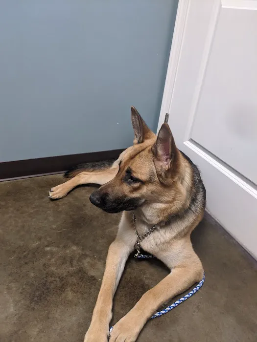 Latimer Animal Hospital, LLC Picture 5