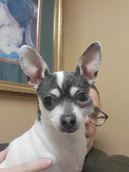 Latimer Animal Hospital, LLC Picture 9