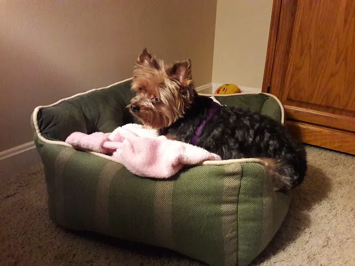 Especially Pets Picture 4