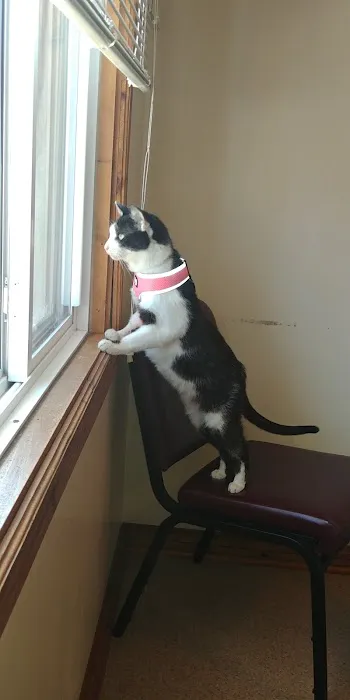 Especially Pets Picture 3