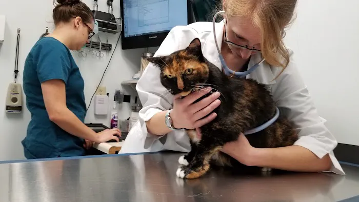 Access Veterinary Care Picture 1