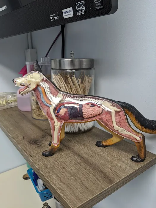 Access Veterinary Care Picture 2