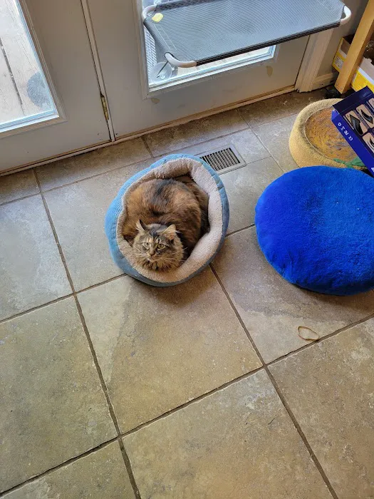 Access Veterinary Care Picture 10