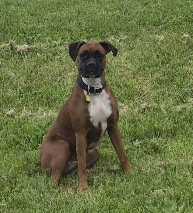 Kentuckiana Veterinary Outreach Picture 3