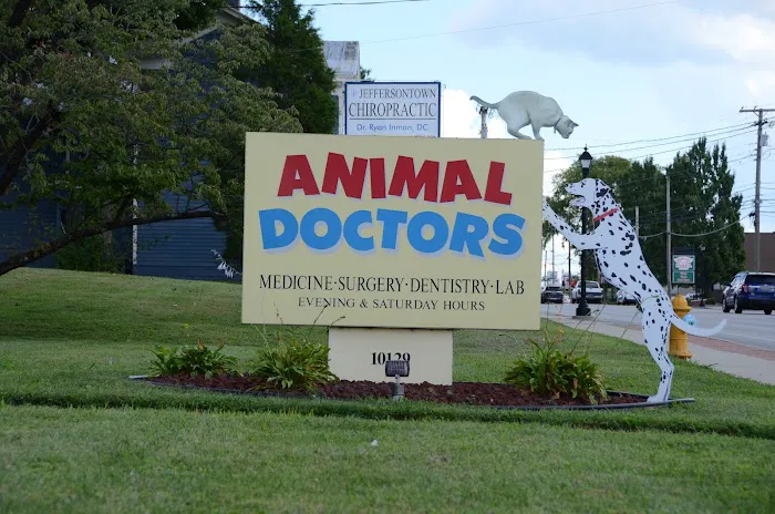 Animal Doctors Picture 3