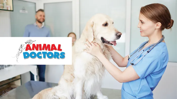 Animal Doctors Picture 5