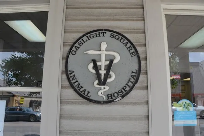 Gaslight Square Animal Hospital Picture 3