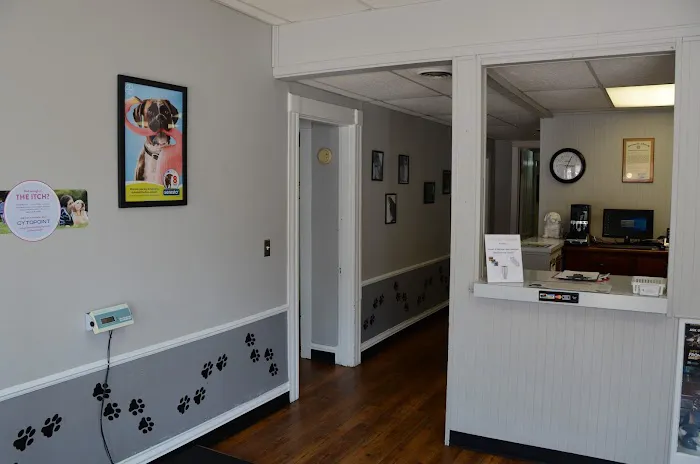 Gaslight Square Animal Hospital Picture 4