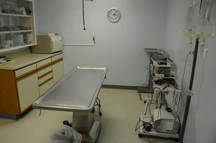 Gaslight Square Animal Hospital Picture 1