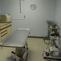 Gaslight Square Animal Hospital ico