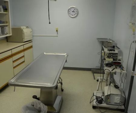 Gaslight Square Animal Hospital