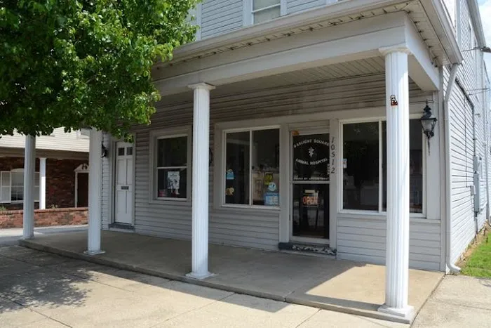 Gaslight Square Animal Hospital Picture 7
