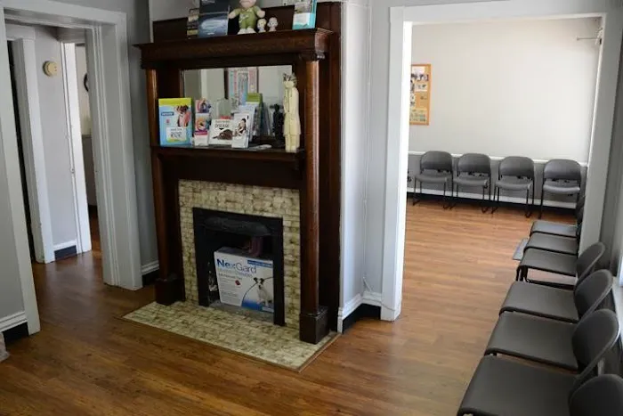Gaslight Square Animal Hospital Picture 9