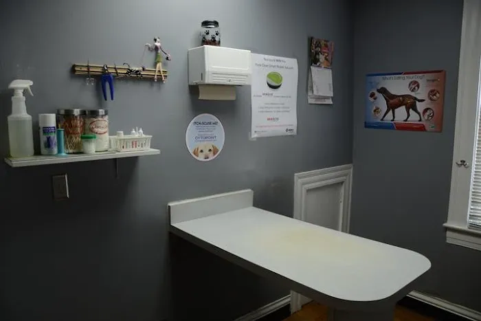 Gaslight Square Animal Hospital Picture 8