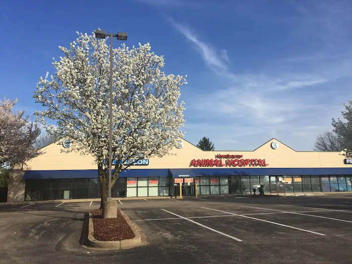 Hurstbourne Animal Hospital Picture 10