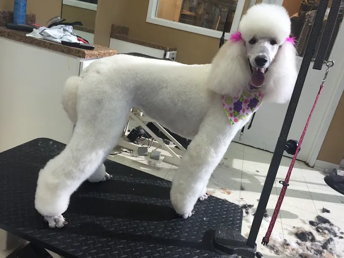 Hurstbourne Animal Hospital Picture 2