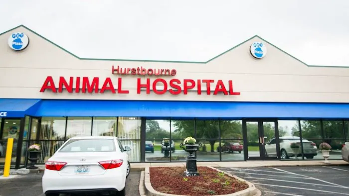 Hurstbourne Animal Hospital Picture 4