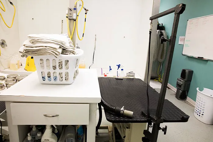 Hurstbourne Animal Hospital Picture 8