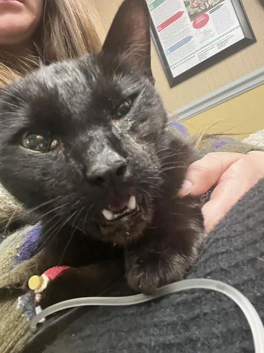 Animal Emergency Center Picture 1
